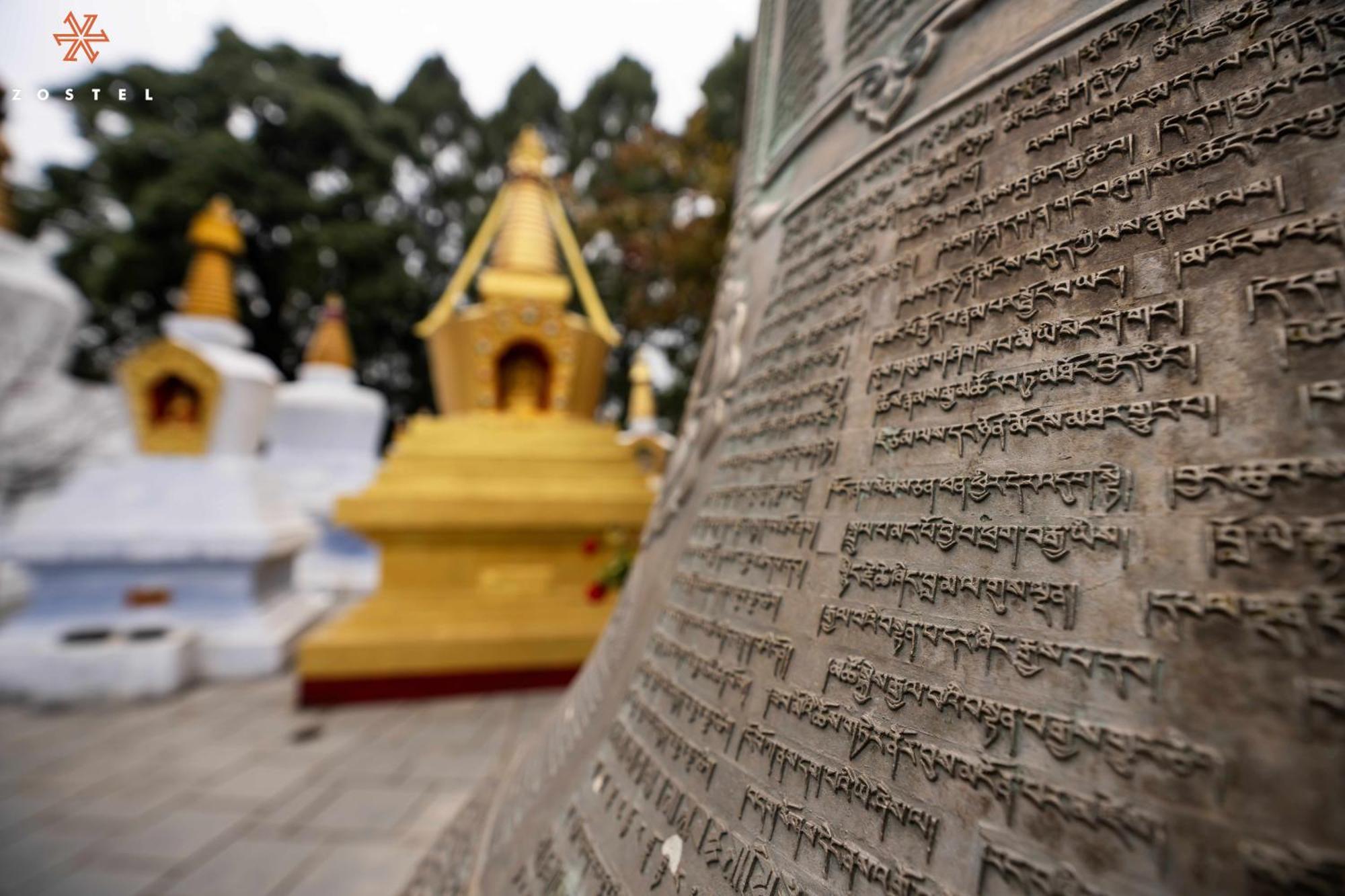 Zostel Rinchenpong Hostel ภายนอก รูปภาพ