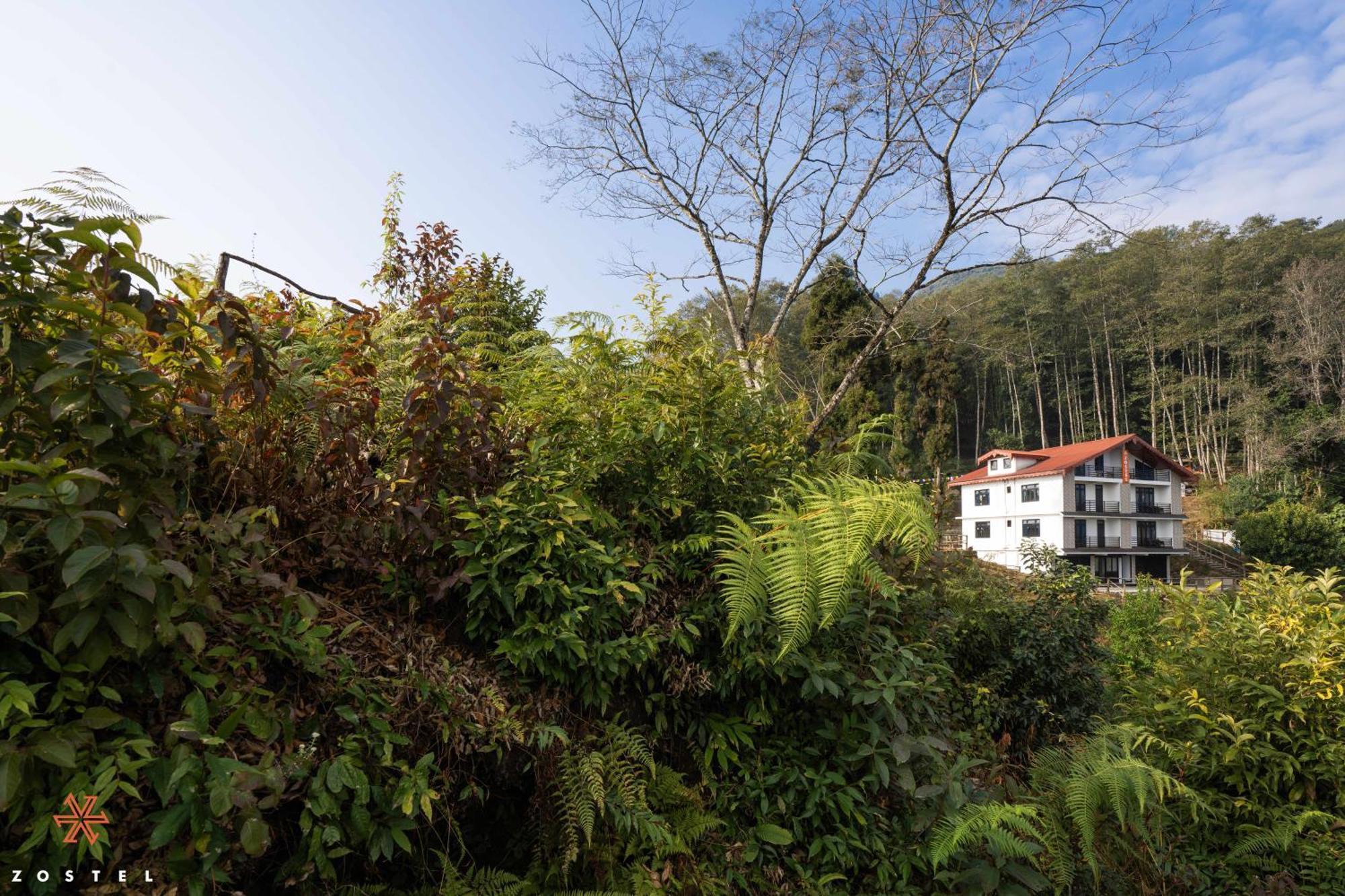 Zostel Rinchenpong Hostel ภายนอก รูปภาพ